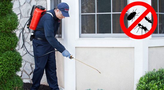 Kocaköy Böcek İlaçlama böcek ilaçlama ve haşere kontrolü — ilaclama-tr.com